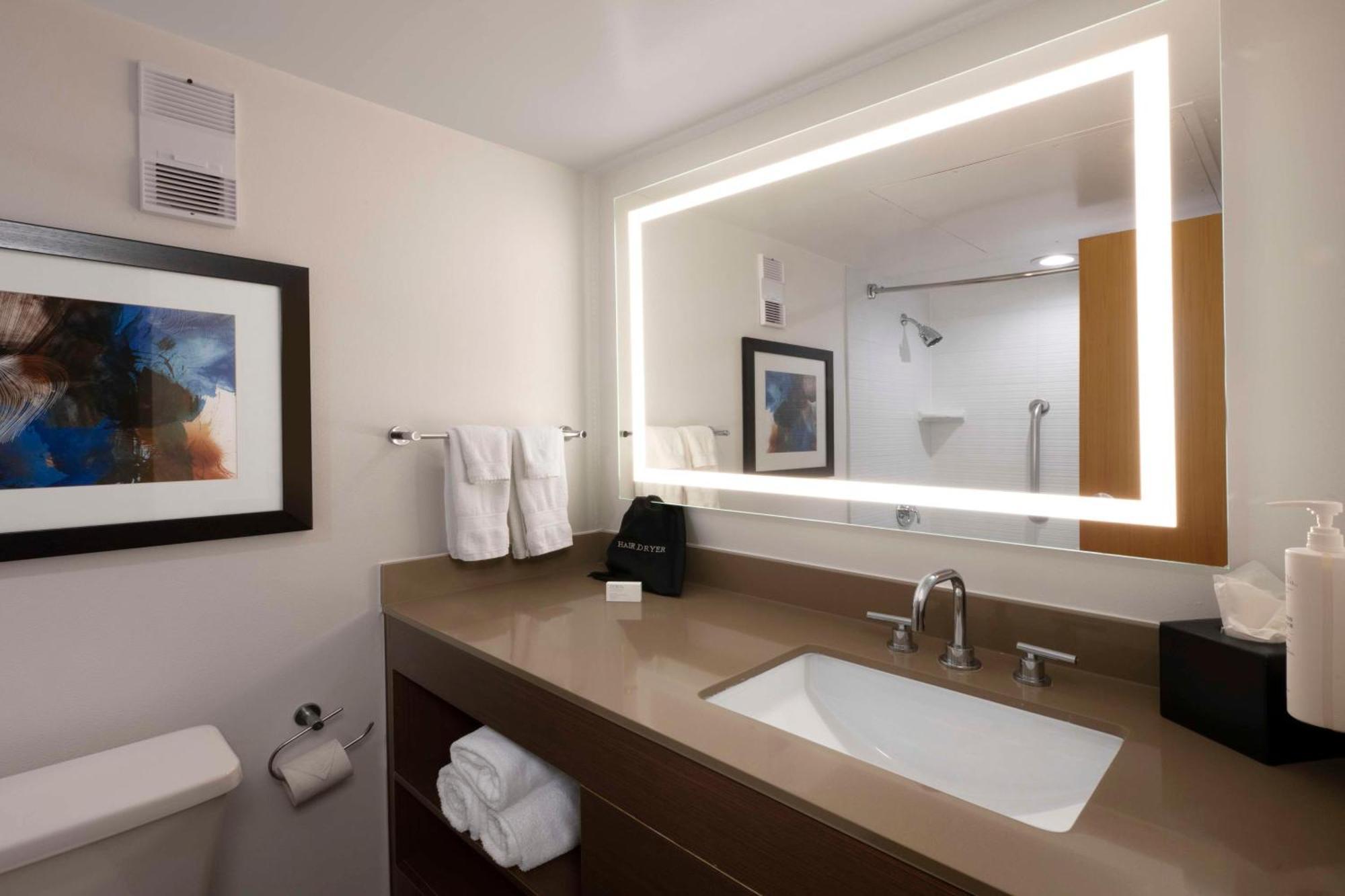 Embassy Suites Dallas - Dfw International Airport South Irving Eksteriør bilde